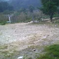 Plutarco Elias Calles