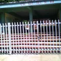 Escuela Secundaria Tecnica 88