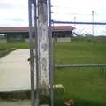 Escuela Secundaria Tecnica  115