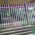 Escuela Secundaria Tecnica 124