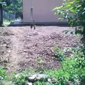 Jardin de Niños Comunitario Juan Rulfo