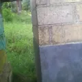Jardin de Niños Comunitario