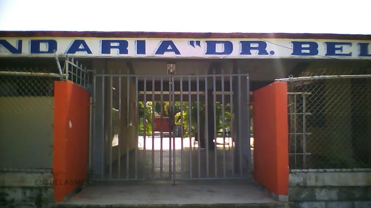 Belisario Dominguez Palencia Entrada