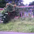 Agustin Melgar