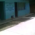 Primaria Comunitaria Francisco Gonzalez Bocanegra