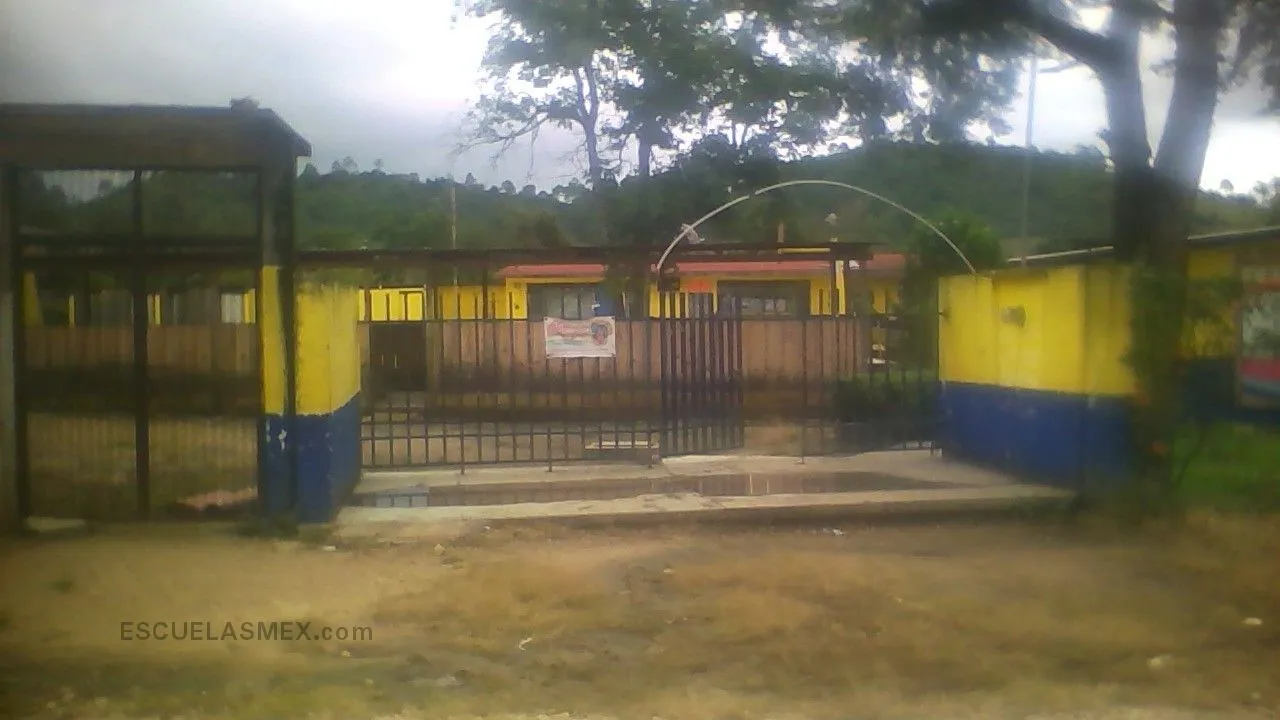 Belisario Dominguez Palencia Entrada