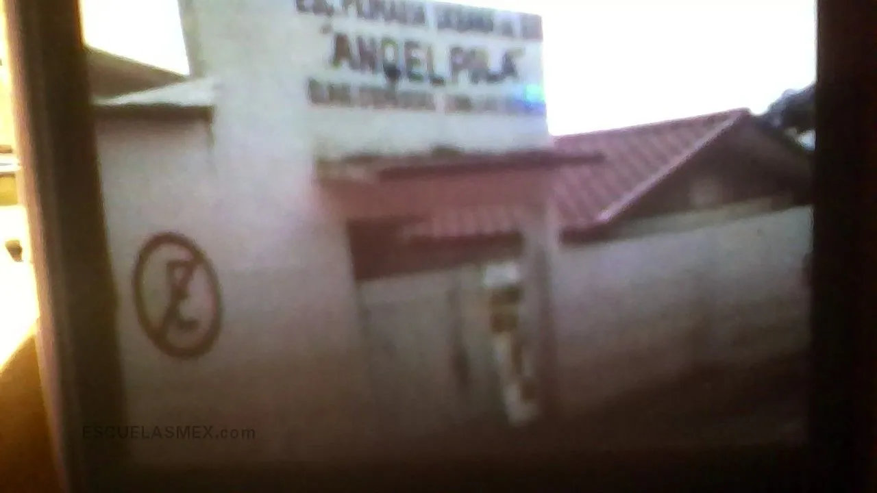 Angel Pola Moreno Entrada