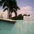 Organizacion de las Naciones Unidas