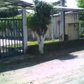 Jose Vasconcelos Calderon