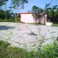 Telesecundaria 010