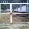 Telesecundaria 381 Benito Juarez Garcia