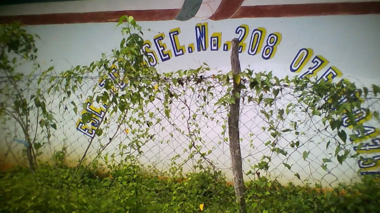 Telesecundaria 208 Entrada