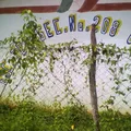 Telesecundaria 208