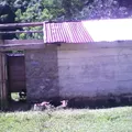 Preescolar Conafe Indigena