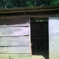 Preescolar Conafe Indigena