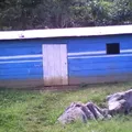 Preescolar Conafe Indigena