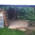 Preescolar Conafe Indigena