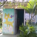 Preescolar Conafe Indigena