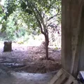 Preescolar Conafe Indigena