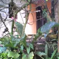 Preescolar Conafe Indigena