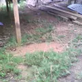 Preescolar Conafe Indigena