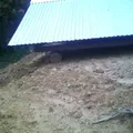 Preescolar Conafe Indigena