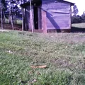 Preescolar Conafe Indigena