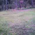 Preescolar Conafe Indigena