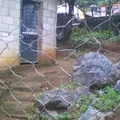 Preescolar Conafe