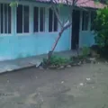 Preescolar Conafe