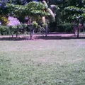 Preescolar Conafe