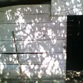 Preescolar Conafe