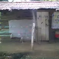Preescolar Conafe