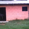 Preescolar Conafe