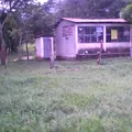 Preescolar Conafe