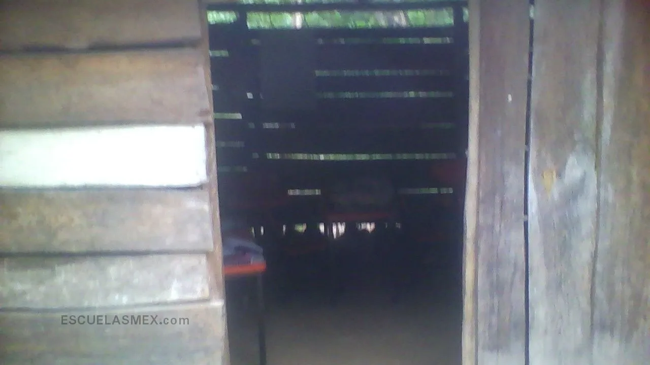 Preescolar Conafe Entrada