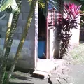 Preescolar Conafe