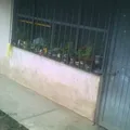 Preescolar Conafe