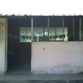 Preescolar Conafe