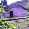 Primaria Conafe Indigena