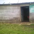 Primaria Conafe Indigena