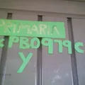 Primaria Conafe Indigena