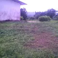 Primaria Conafe Indigena