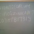 Primaria Conafe Indigena