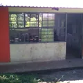 Primaria Conafe Indigena