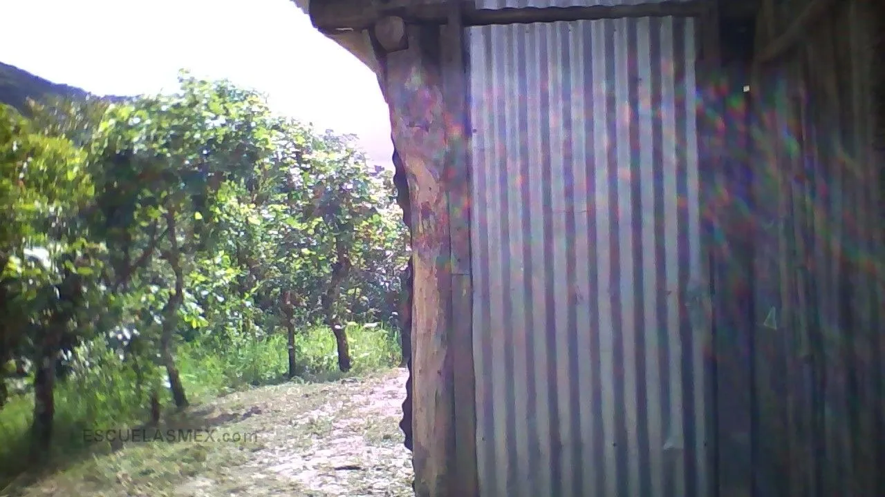 Primaria Conafe Indigena Entrada