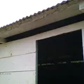 Primaria Conafe Indigena