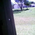 Primaria Conafe Indigena