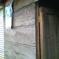 Primaria Conafe Indigena