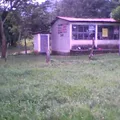 Primaria Conafe